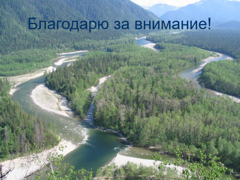 Благодарю за внимание!     Благодарю за внимание!